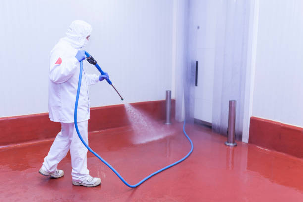 Best Warehouse Cleaning  in Dunthpe, OR
